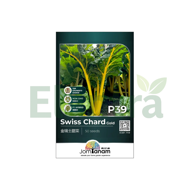 P39 SWISS CHARD GOLD
